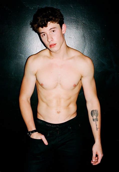 shawn mendes naked gay